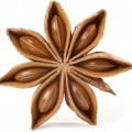 Cam Thảo & Hoa Hồi (Licorice & Anise)